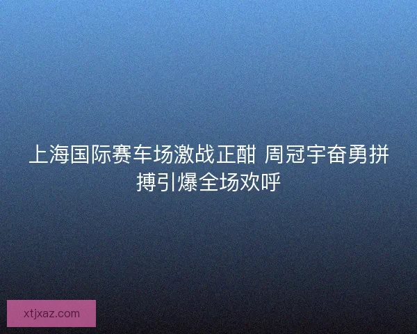 上海国际赛车场激战正酣 周冠宇奋勇拼搏引爆全场欢呼