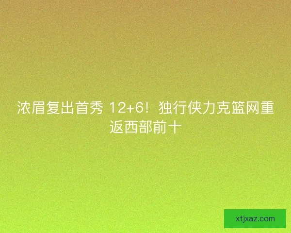 浓眉复出首秀 12+6！独行侠力克篮网重返西部前十