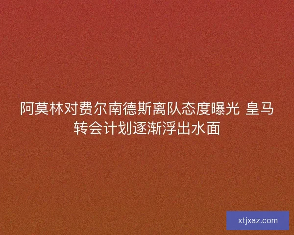 阿莫林对费尔南德斯离队态度曝光 皇马转会计划逐渐浮出水面